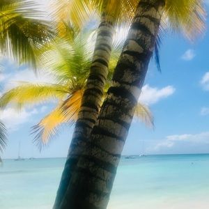 Meet your Posher, Maggie